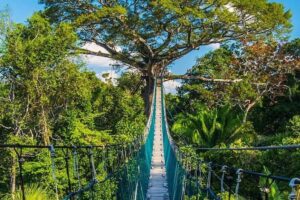 Reserva Nacional de Tambopata en Madre de Dios